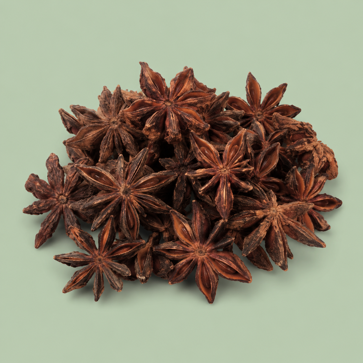 Sternanis